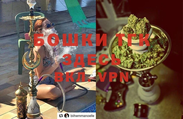 мдпв Вязники