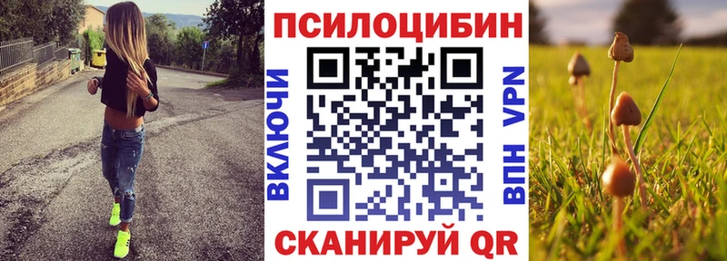 Псилоцибиновые грибы Cubensis  Балаково 